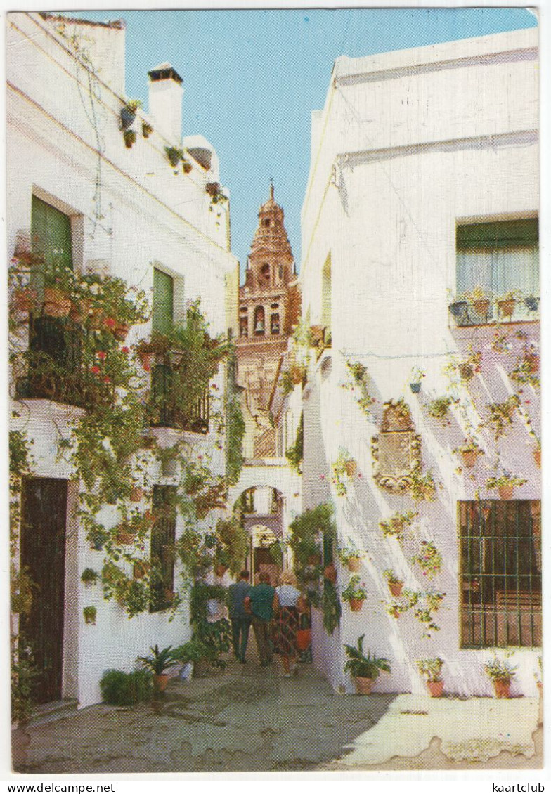 2114. - Cordoba - Calleja De Las Flores - (Espana/Spain) - Córdoba