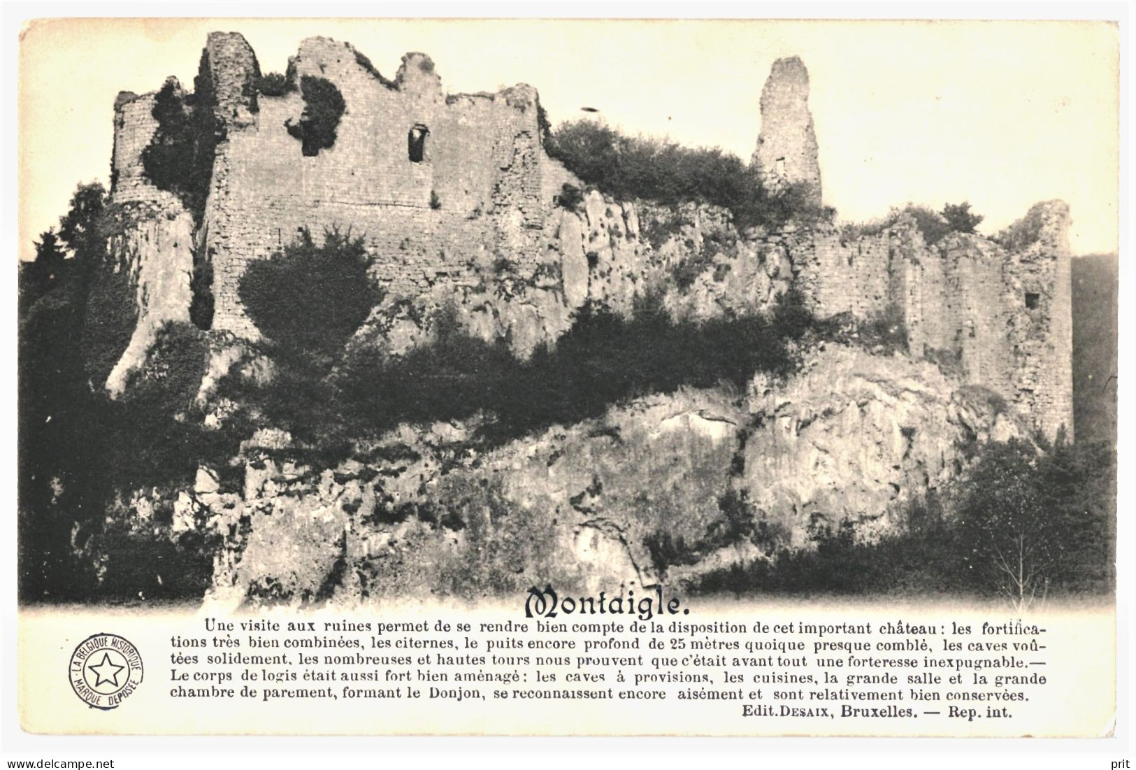Ruines De Montaigle Vallée De La Molignée Onhaye 1916 Used Postcard. Publisher Desaix, Bruxelles - Onhaye