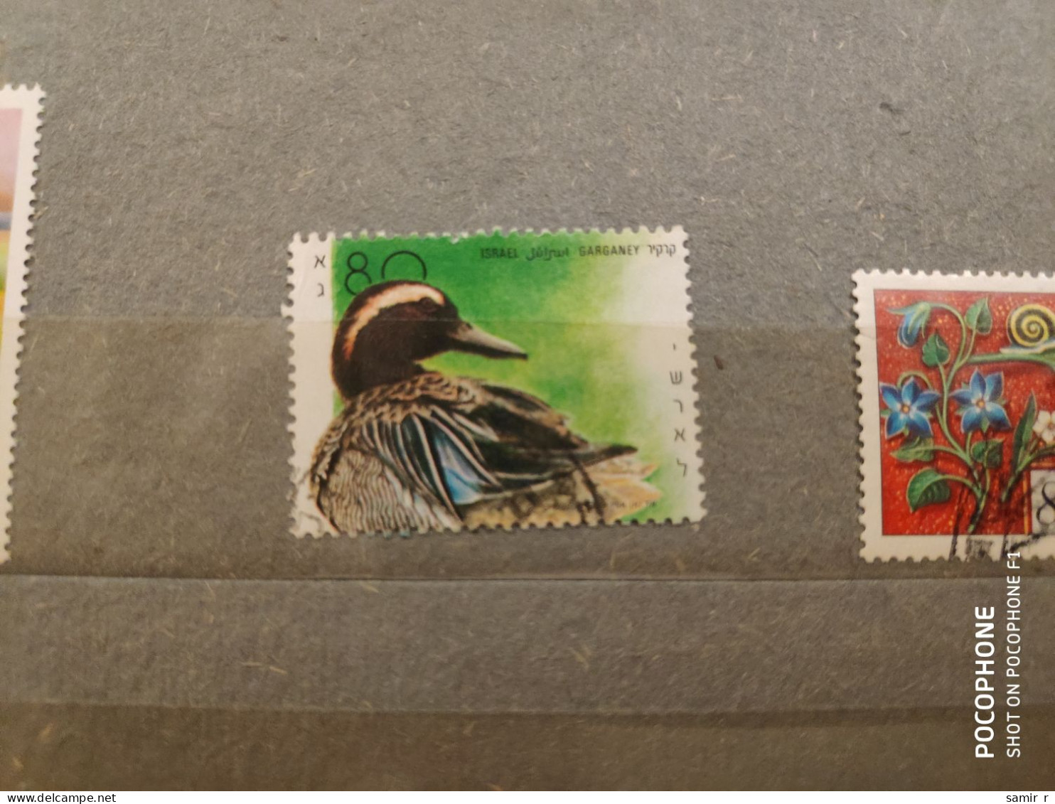 Israil Birds (F16) - Used Stamps (without Tabs)