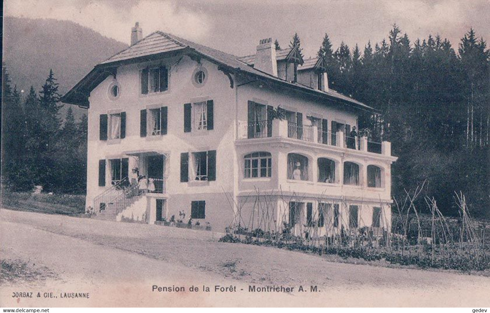 Montricher VD, Pension De La Forêt (15.3.1910) - Montricher
