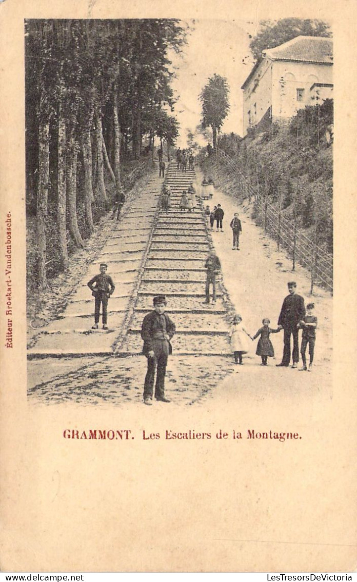 BELGIQUE - Grammont - Les Escaliers De La Montagne - Carte Postale Ancienne - Geraardsbergen