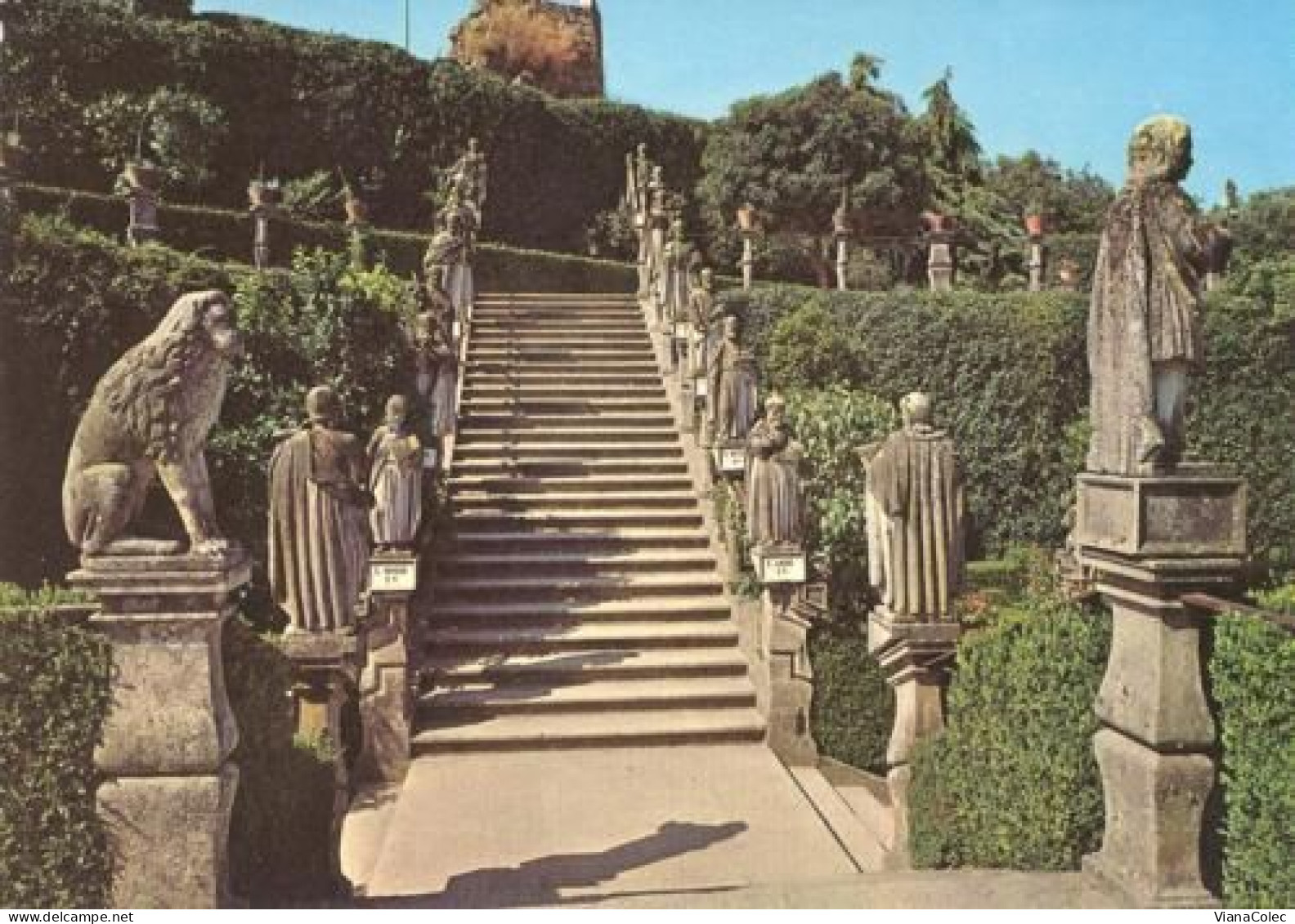 Castelo Branco - Jardim Do Paço / Escadaria Dos Apóstolos - Castelo Branco