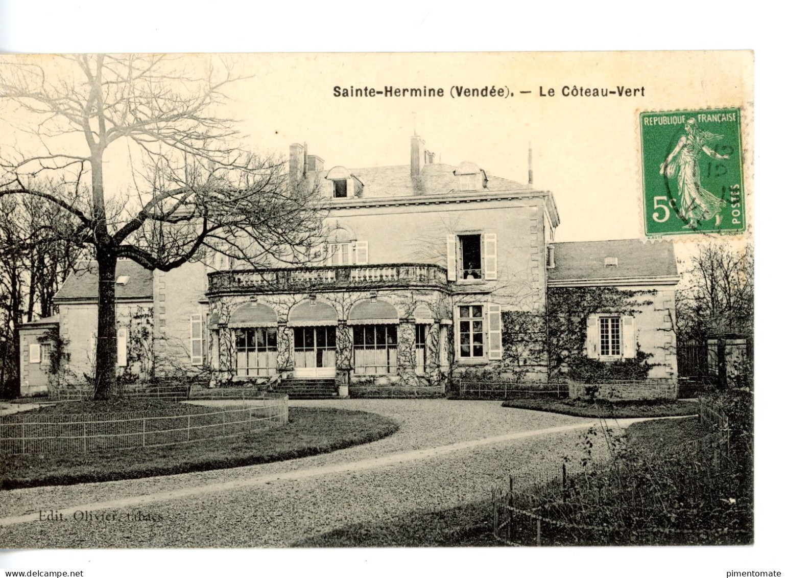 SAINTE HERMINE LE COTEAU VERT 1913 - Sainte Hermine