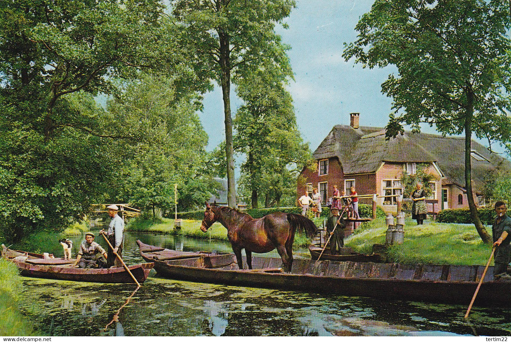 GIETHOORN .PAYS BAS . VERVOER PAARD PER BOOT - Giethoorn