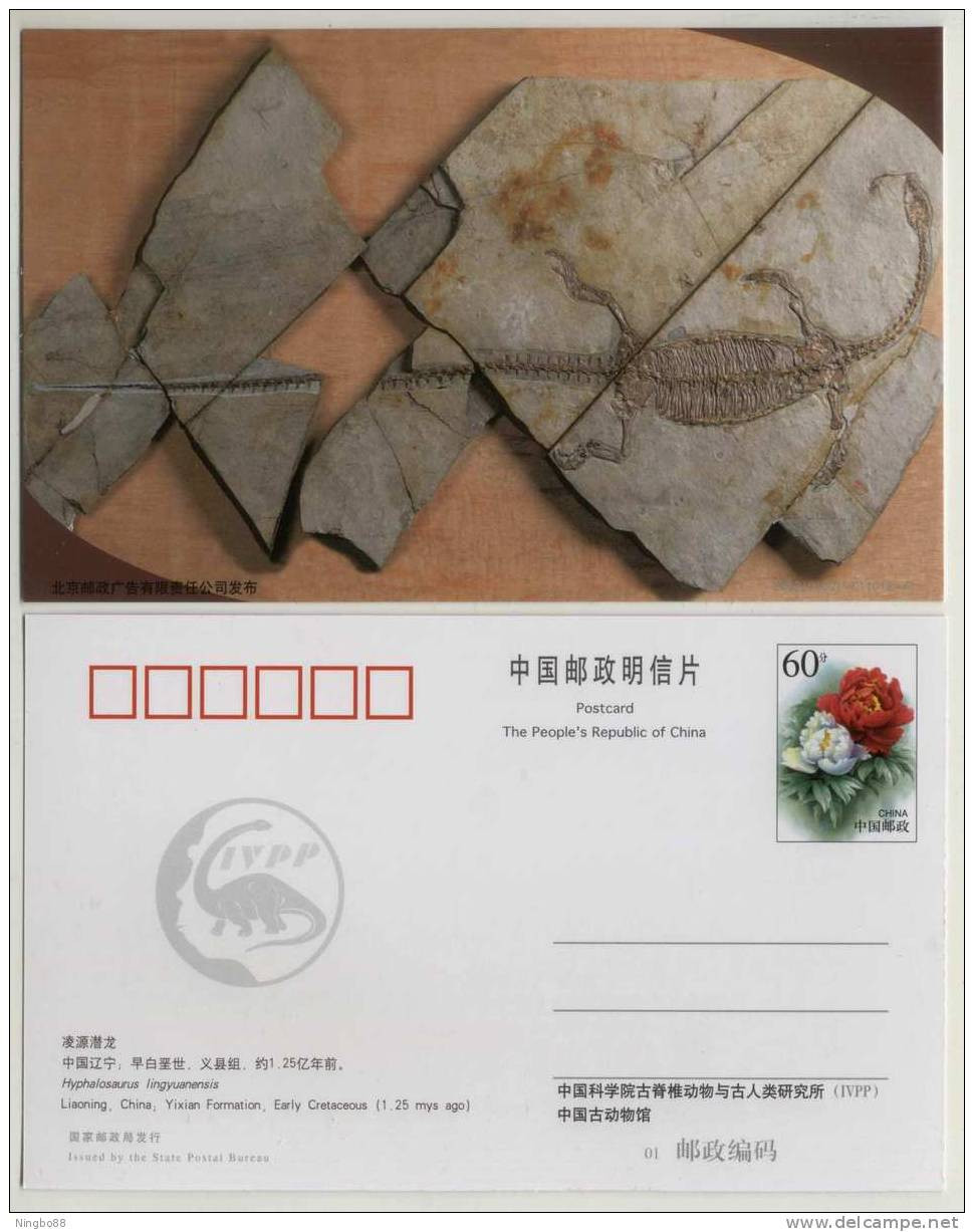 Hyphalosaurus Lingyuanensis Reptiles Dinosaur Fossil,Live In Lake Fish-eating Dinosaur,CN 03 IVPP Pre-stamped Card - Fossili
