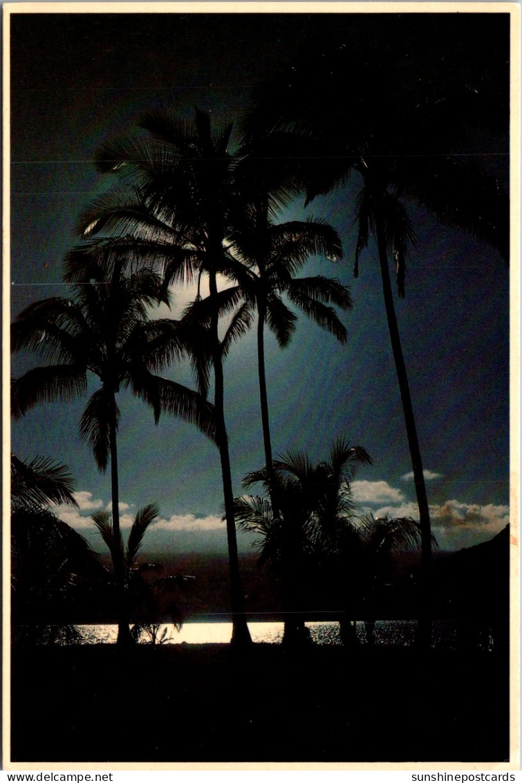 Hawaii Hilo Moonlight Over Maunakea From Coconut Island - Hilo