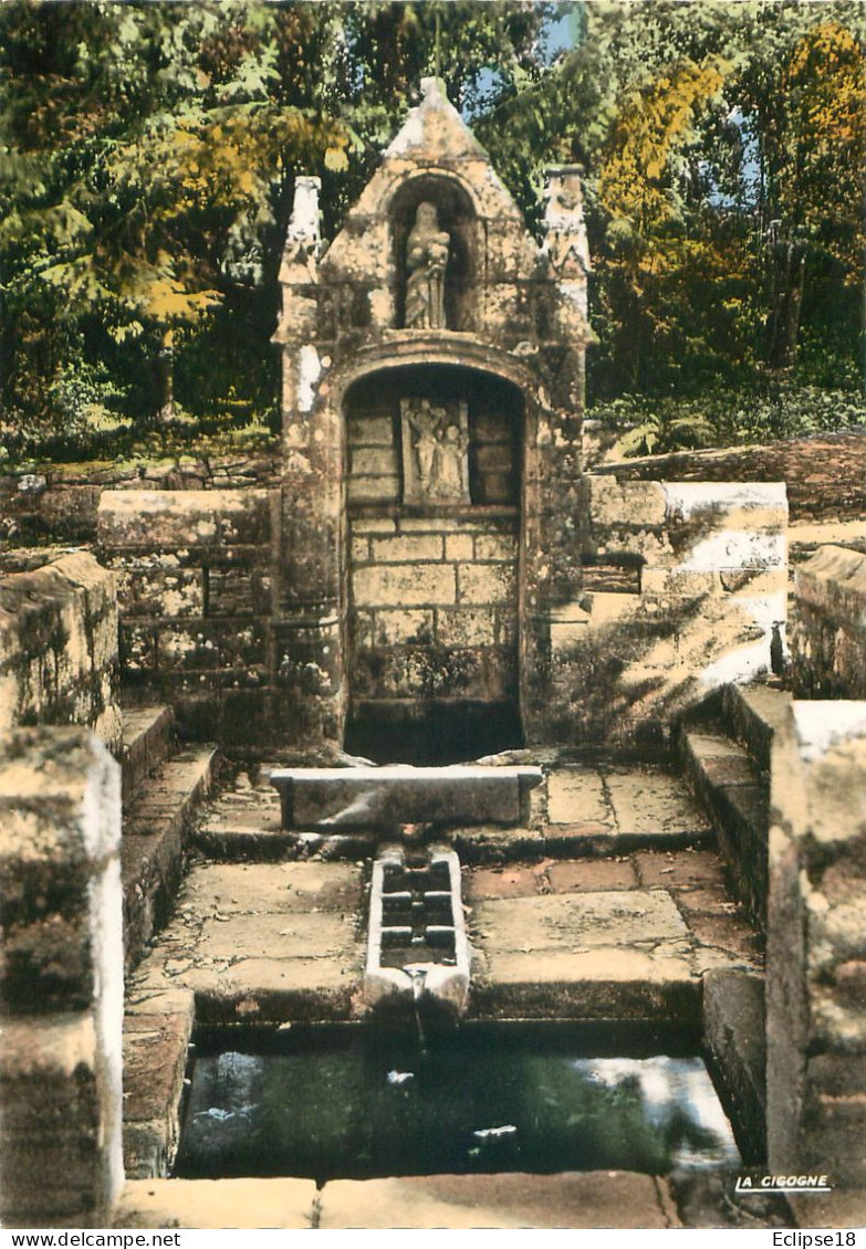 Daoulas - Fontaine De L' Ancienne Abbaye    O 606 - Daoulas