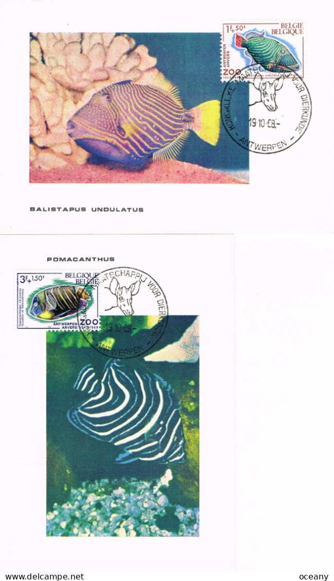 Belgique - Solidarité : Zoo D'Anvers IV (Poissons) CM 1470/1473 (année 1968) - 1961-1970