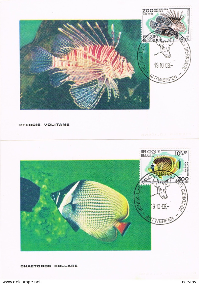 Belgique - Solidarité : Zoo D'Anvers IV (Poissons) CM 1470/1473 (année 1968) - 1961-1970