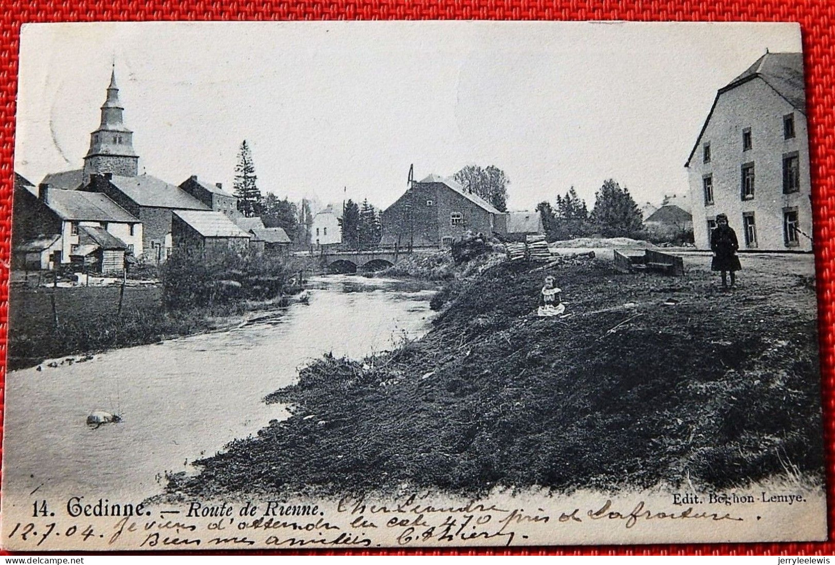 GEDINNE  -   Route De Rienne - Gedinne