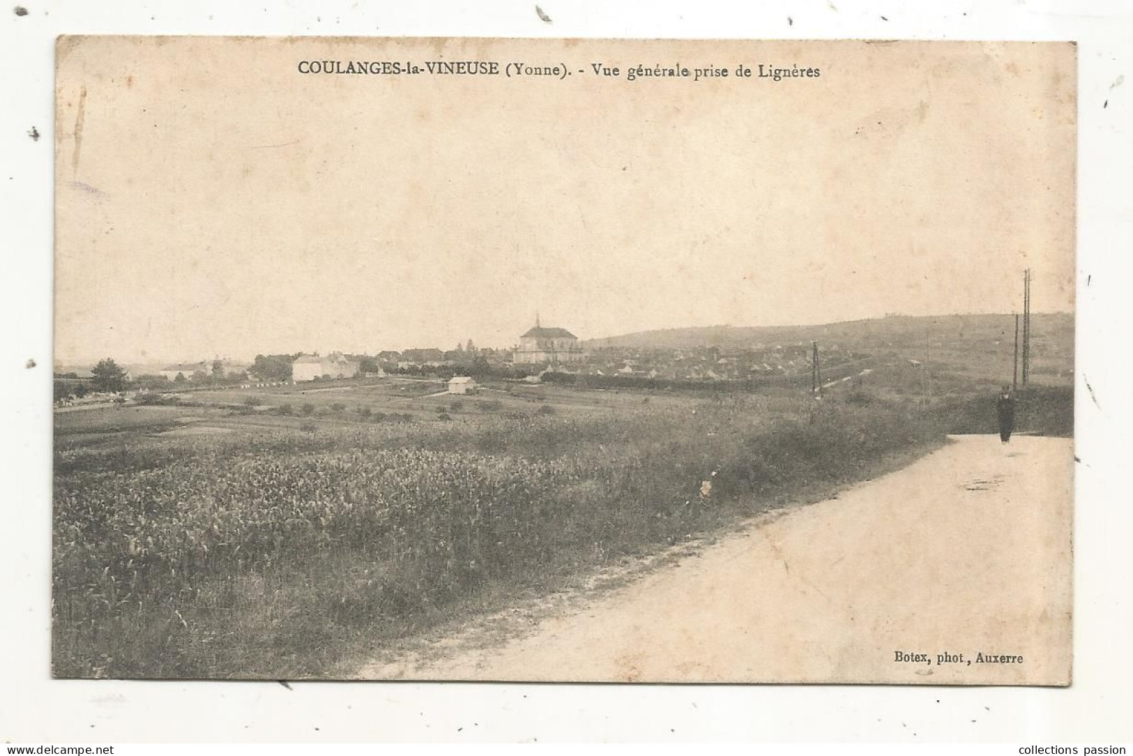 Cp, 89, COULANGES LA VINEUSE, Vue Générale Prise De LIGNERES, Vierge - Coulanges La Vineuse