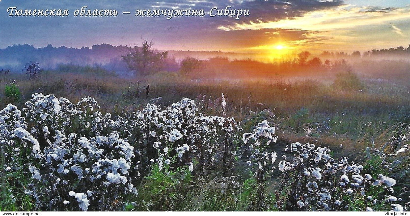 Russia Federation - PAP B - Siberia (Tyumen Region - The Pearl Of Siberia) - Postcard Real Circulated - Lettres & Documents