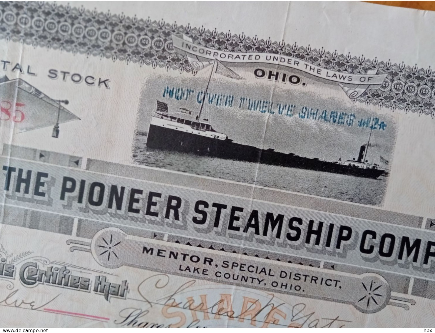 The Pioneer Steamship Company - 1913 - Navy