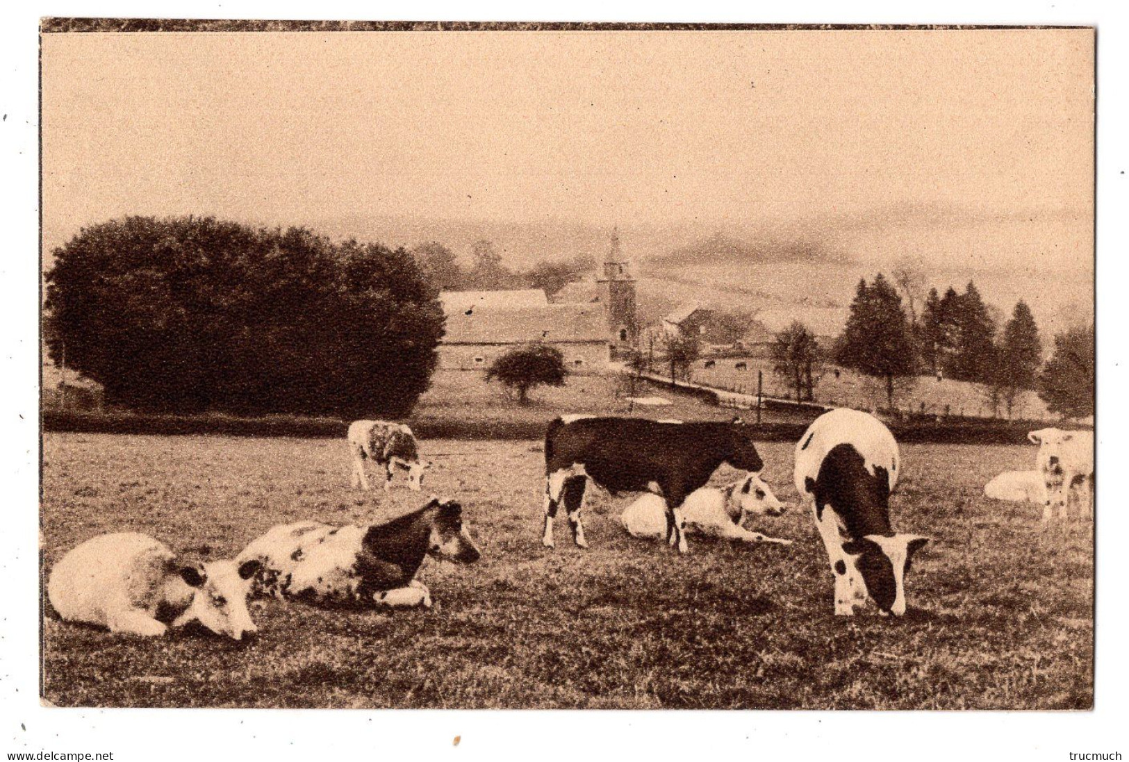 SAINTE - MARIE - SUR - SEMOIS  *église*vaches* - Etalle