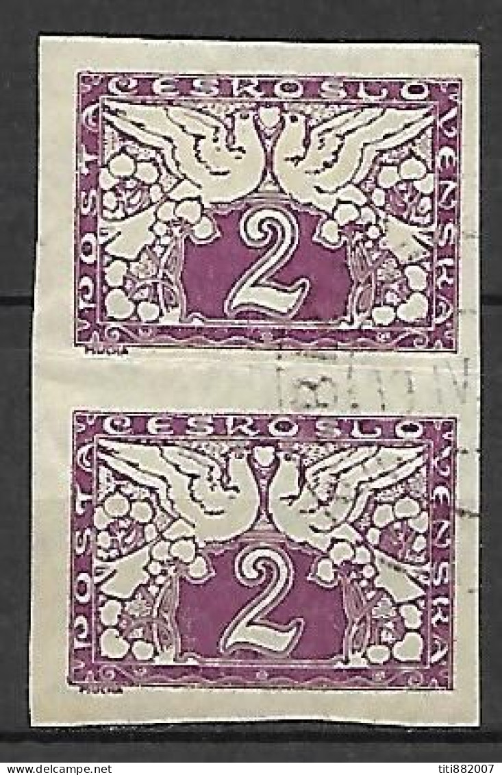TCHECOSLOVAQUIE     -   Journaux  -  1920 .   Y&T N° 9 En PAIRE  Oblitérés. - Newspaper Stamps