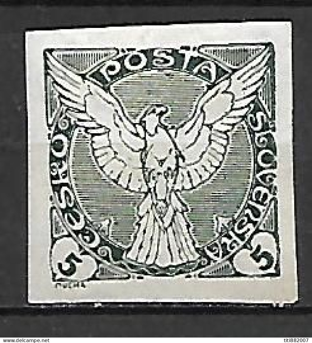TCHECOSLOVAQUIE     -   Journaux  -  1919 .   Y&T N° 2 * - Newspaper Stamps