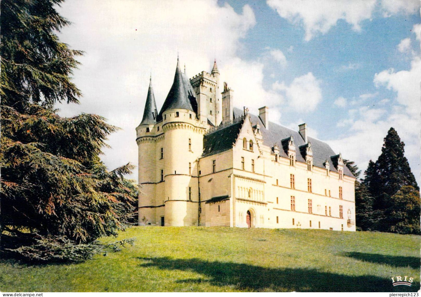 86 - Vouneuil Sur Vienne - Château Renaissance De Chitré - Vouneuil Sur Vienne