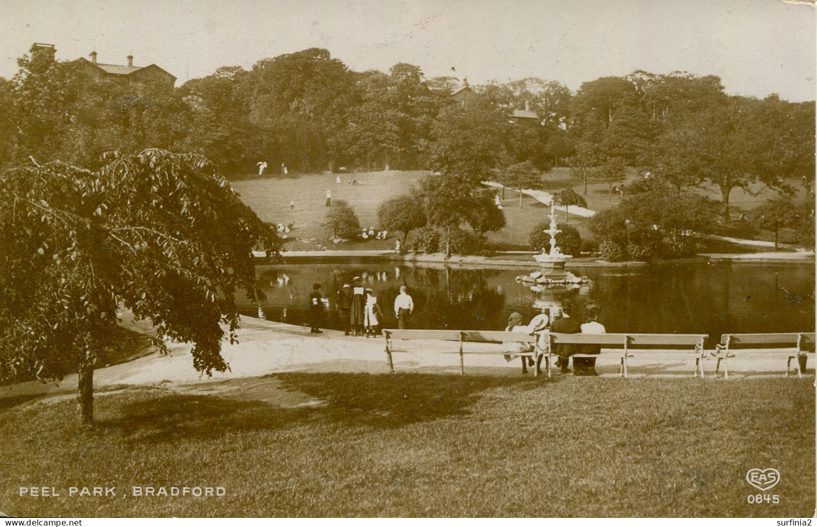 YORKS - BRADFORD - PEEL PARK RP  Y3955 - Bradford