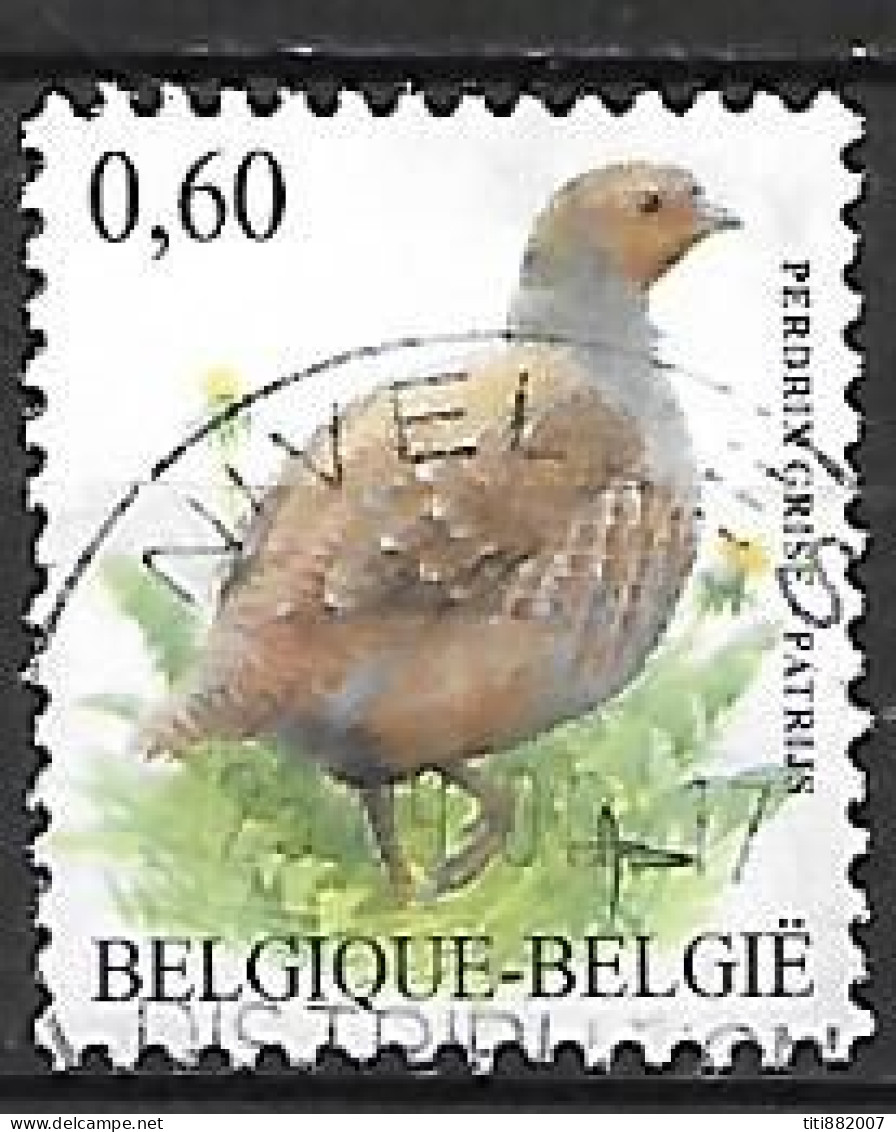 BELGIQUE    -   Perdrix  -   Oblitéré - Grey Partridge