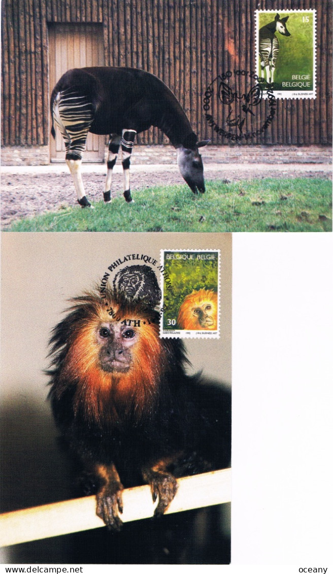 Belgique - 150 Ans Du Zoo D'Anvers CM 2486/2487 (année 1992) - 1991-2000