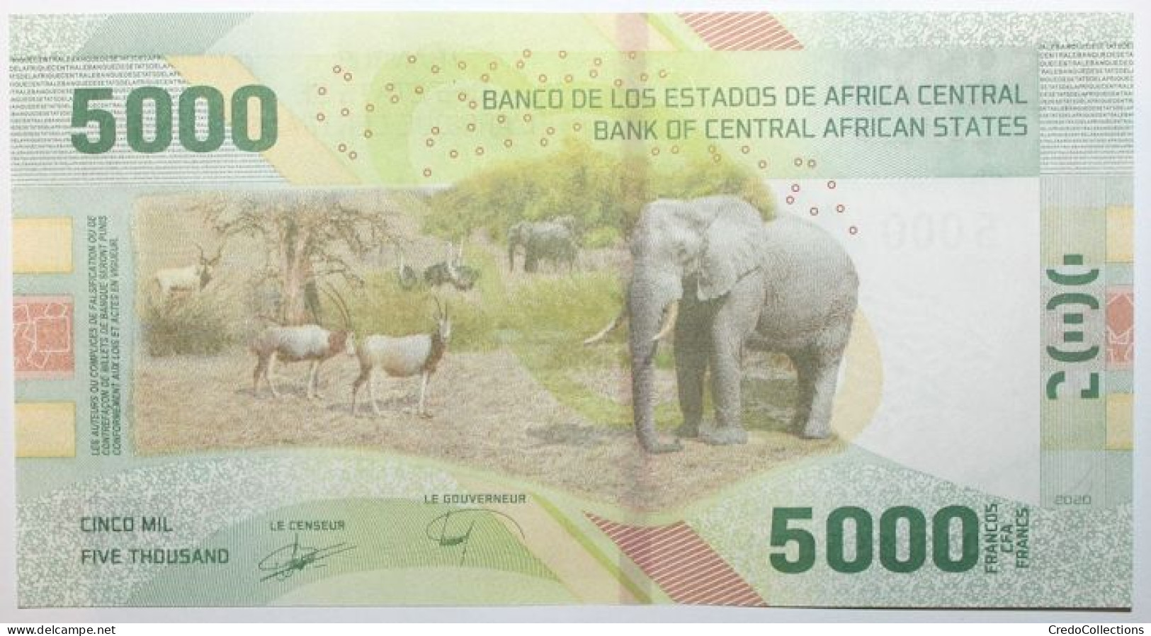 États D'Afrique Centrale - 5000 Francs - 2020 - PICK 703 - NEUF - Stati Centrafricani