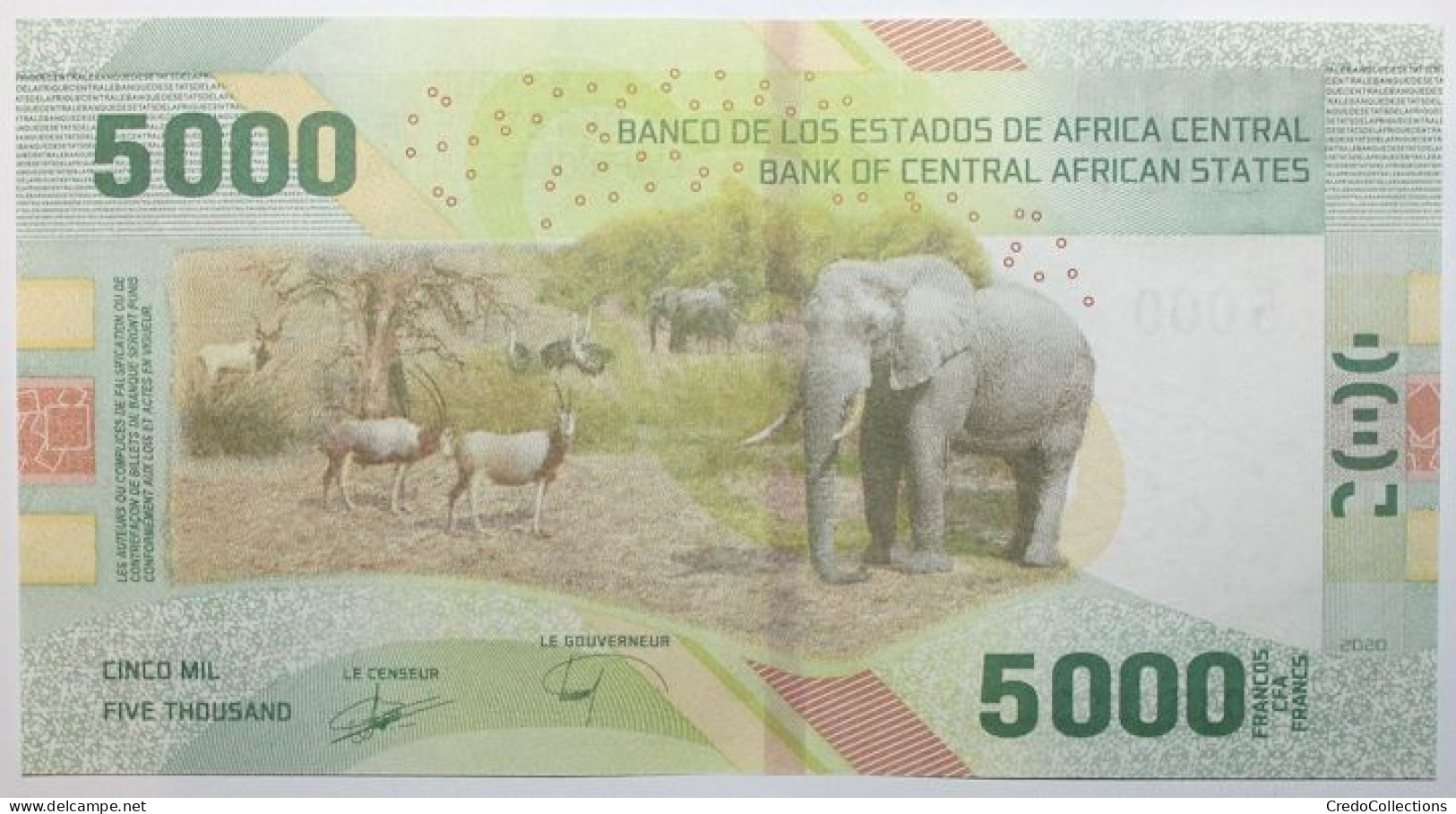 États D'Afrique Centrale - 5000 Francs - 2020 - PICK 703 - NEUF - Central African States