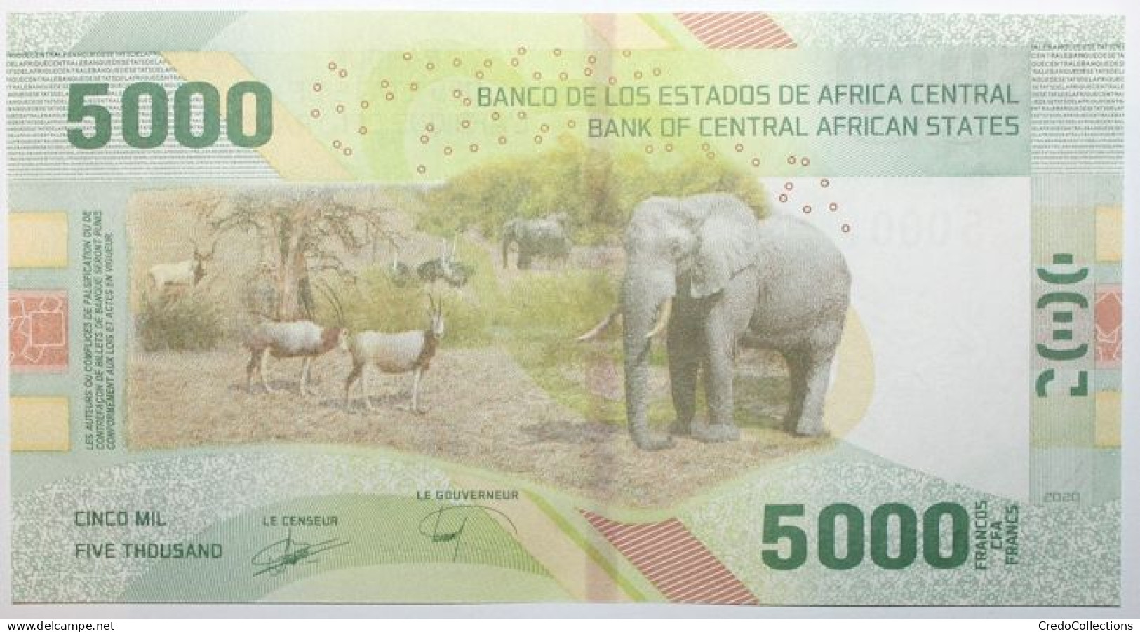 États D'Afrique Centrale - 5000 Francs - 2020 - PICK 703 - NEUF - États D'Afrique Centrale