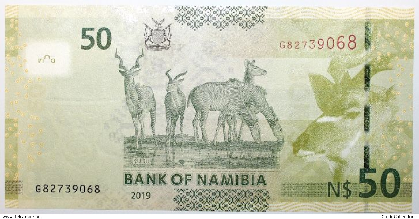 Namibie - 50 Dollars - 2019 - PICK 13c - NEUF - Namibie