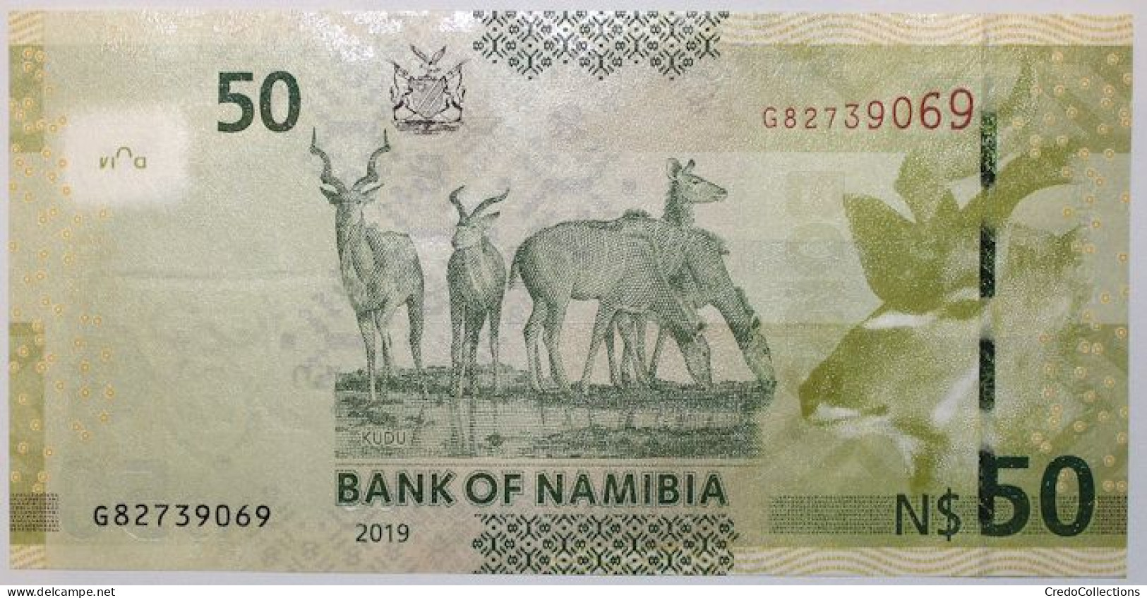 Namibie - 50 Dollars - 2019 - PICK 13c - NEUF - Namibia