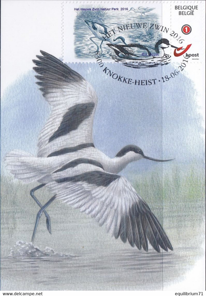 CM/MK - MYSTAMP° - FDC - Avocette élégante / Kluut / Avocet / Recurvirostra Avosetta - Zwin - BUZIN - 2011-..