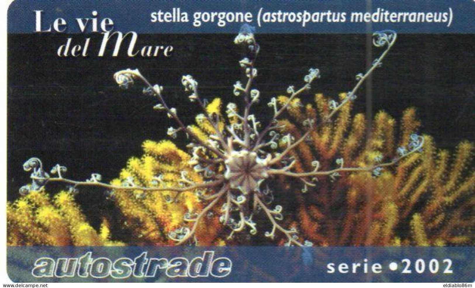 ITALY - VIACARD (HIGHWAY CARD) - UNDERWATER LIFE - ASTROSPARTUS MEDITERRANEUS - Otros & Sin Clasificación