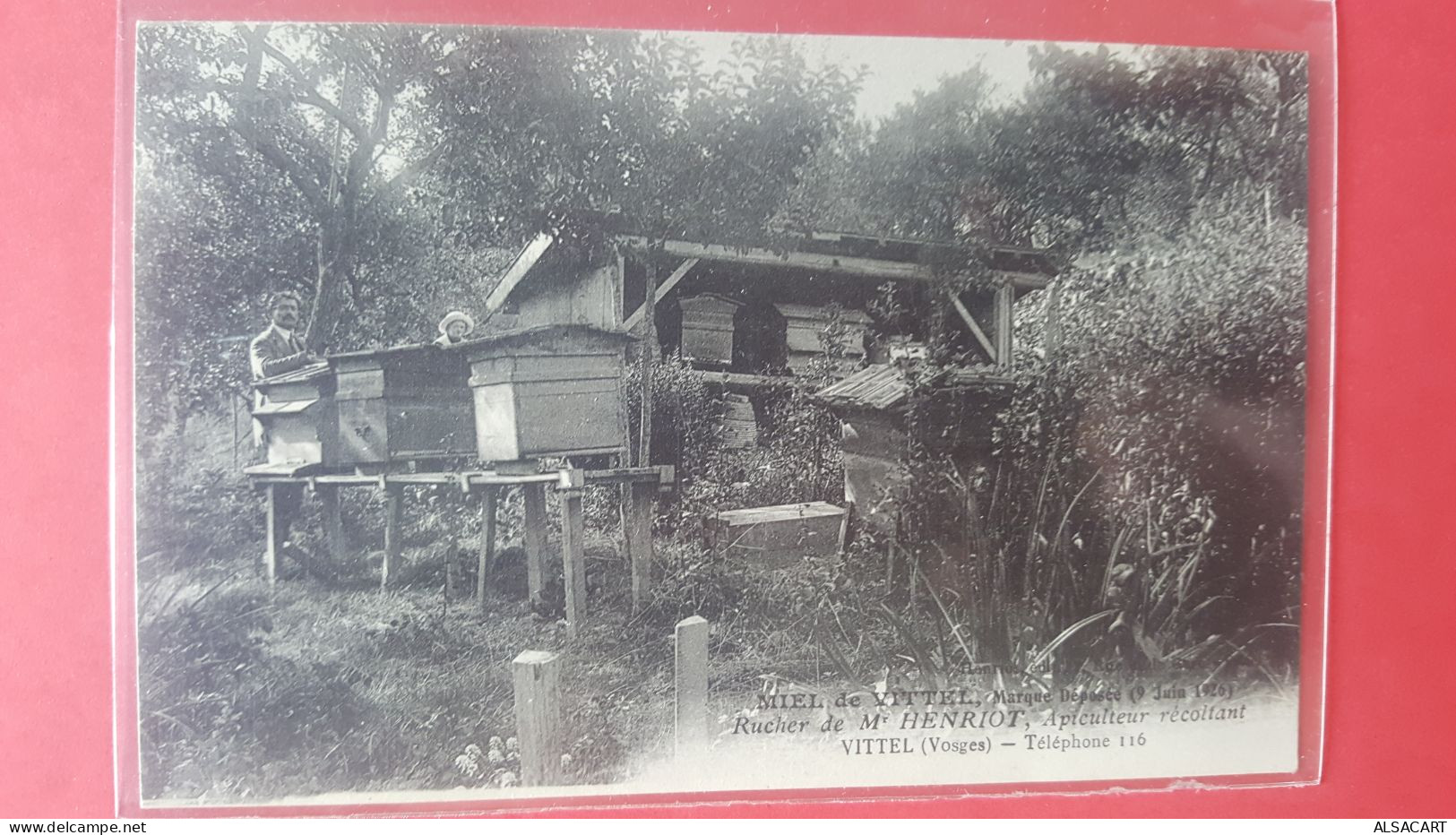 Apiculture , Henriot Recoltant De Miel Dans Les Vosges à Vittel ,   Métiers - Sonstige & Ohne Zuordnung