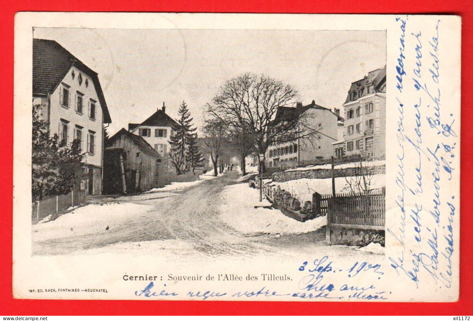 ZVU-35 RARE Cernier  Souvenir De L'Allée Des Tilleuls En Hiver.  Dos Simple. Circulé 1902  - Cernier