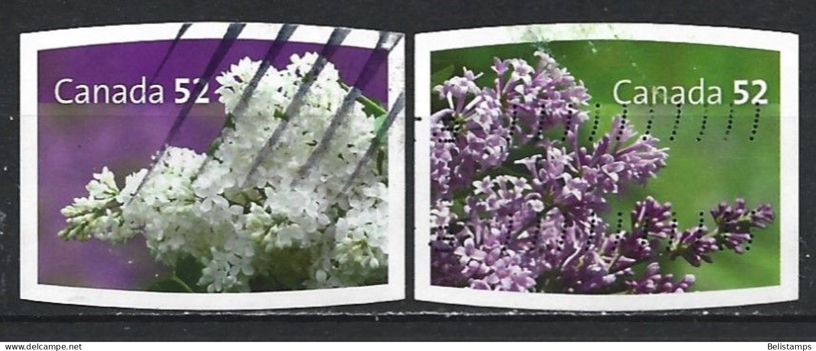 Canada 2007. Scott #2207-8 (U) White And Purple Lilacs  *Complete Set* - Oblitérés