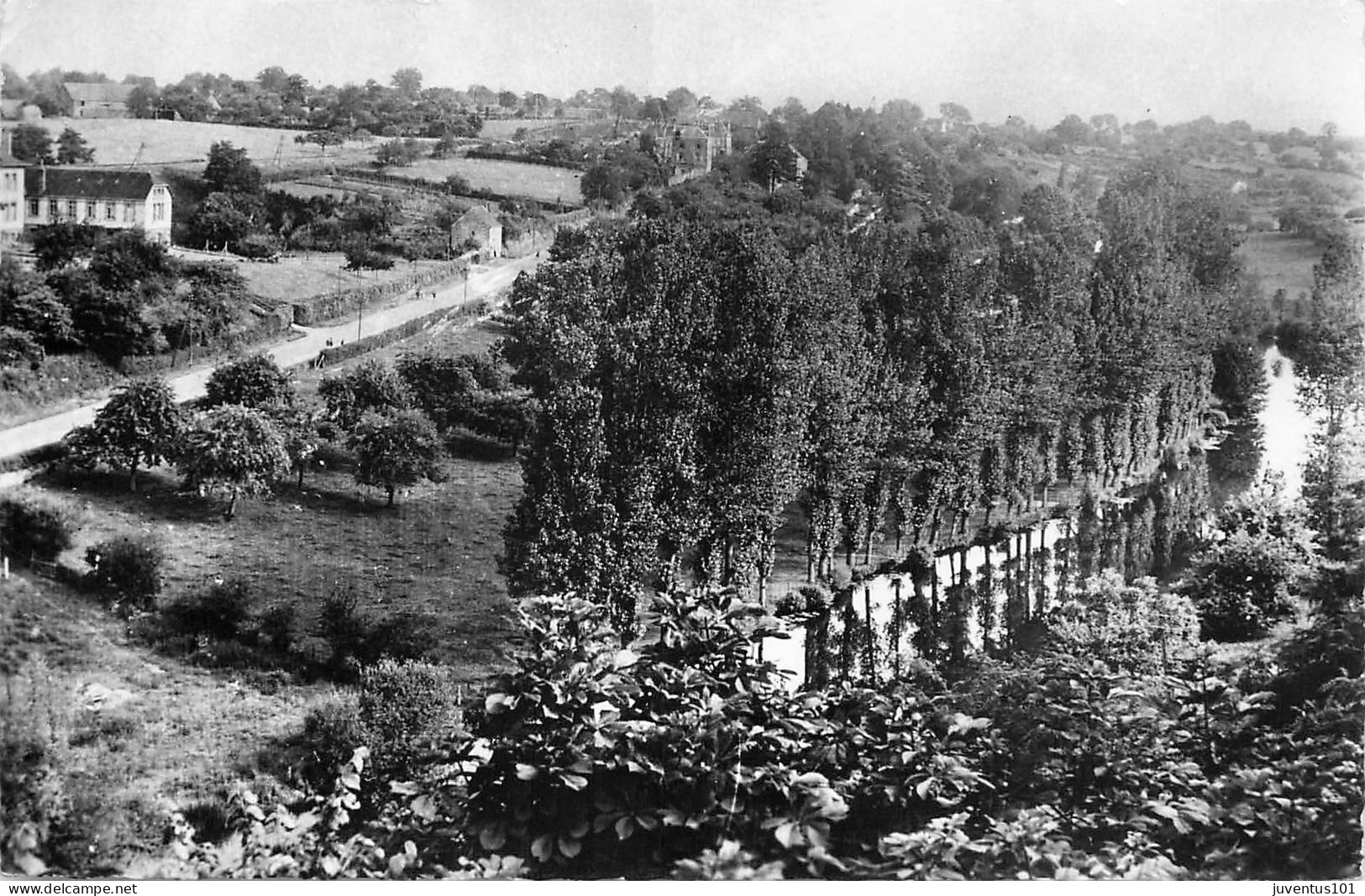 CPSM Ambrières Le Grand-Route De Domfront-Timbre       L2319 - Ambrieres Les Vallees