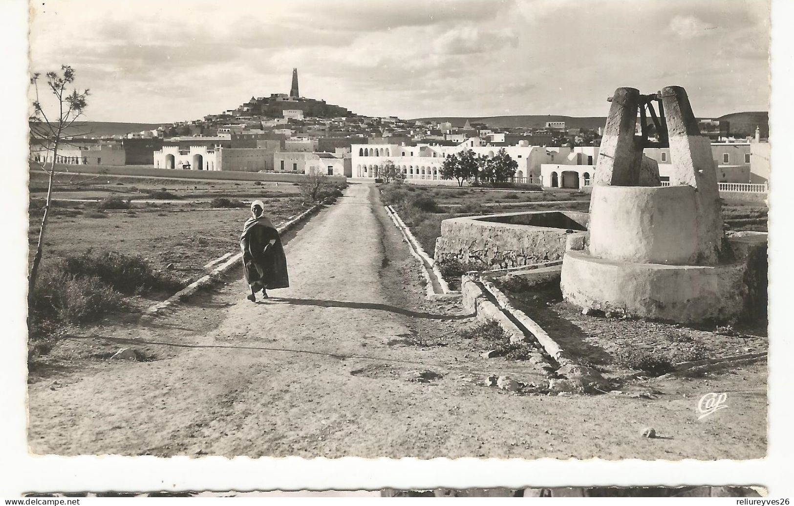 CPSM , Algérie , N°10, Ghardaia ,  Route Du Bordj , Animée  Ed. CAP - Ghardaia