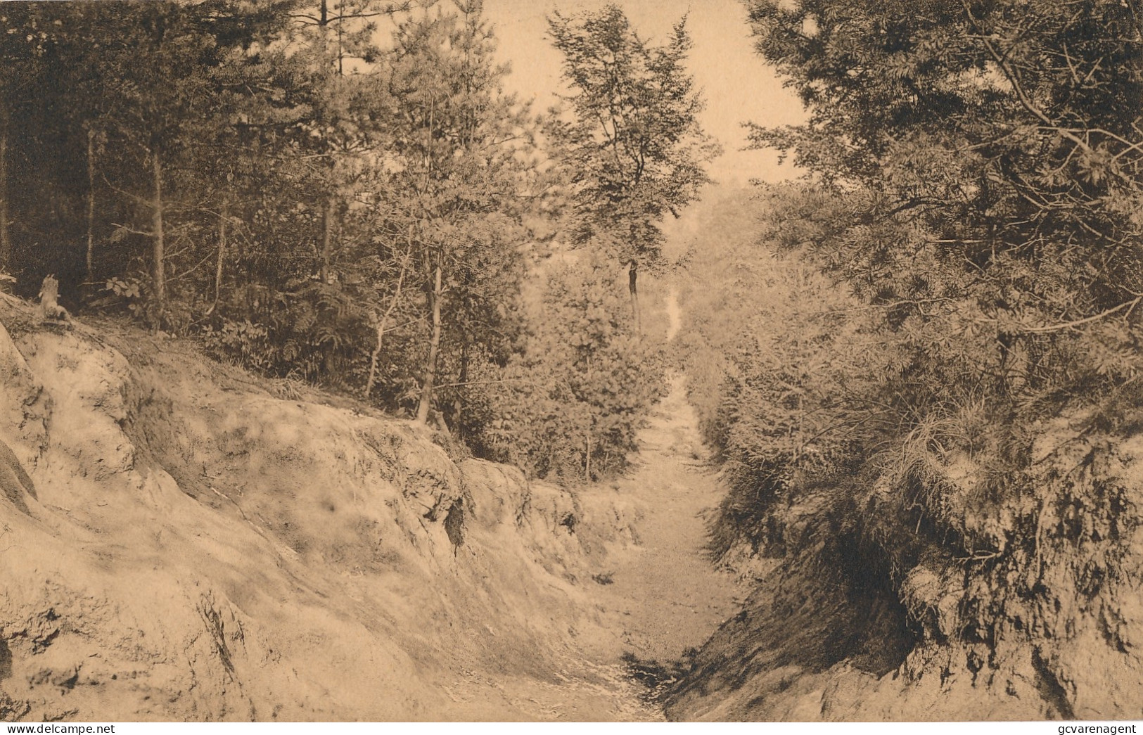 MONT DE L'ENCLUS    L'ENFER     ZIE AFBEELDINGEN - Kluisbergen