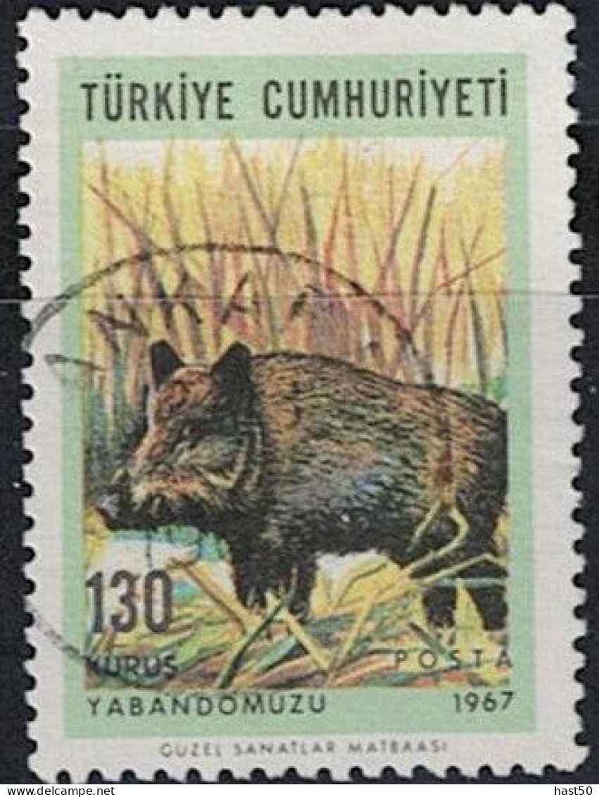 Türkei Turkey Turquie - Europäisches Wildschwein (Sus Scrofa) (MiNr: 2041) 1967 - Gest Used Obl - Gebruikt