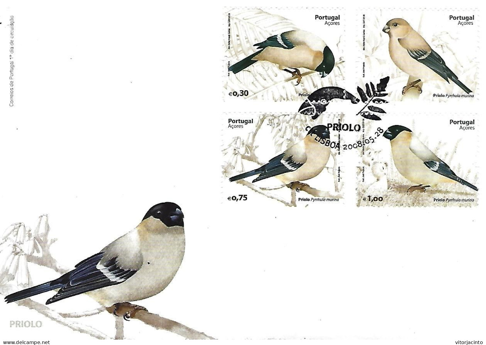 PORTUGAL (Azores) - FDC - 2008 Birds - Priolo - Piciformes (pájaros Carpinteros)
