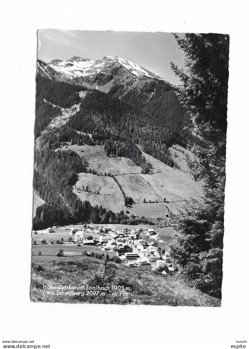 HOHENLUFTKURORT SAALBACH  MIT SCHATFERG - Saalbach