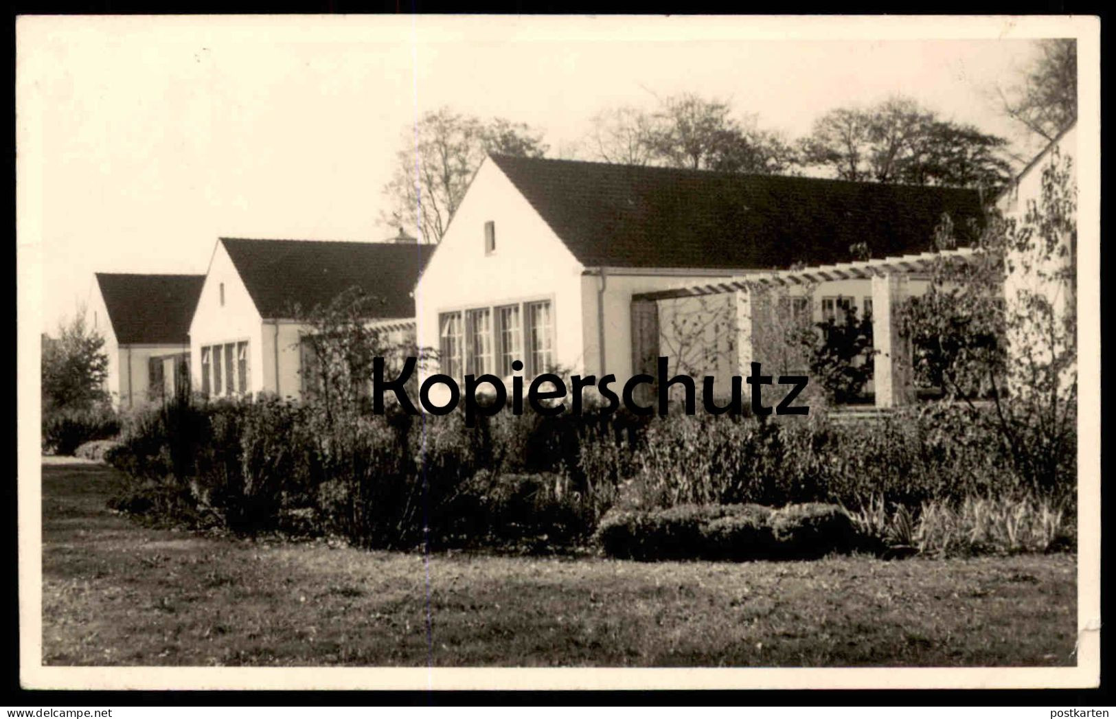 ALTE FOTO POSTKARTE BORGHORST GEBÄUDE HAUS REIHENHÄUSER 1954 Steinfurt AK Ansichtskarte Cpa Photo Postcard - Steinfurt