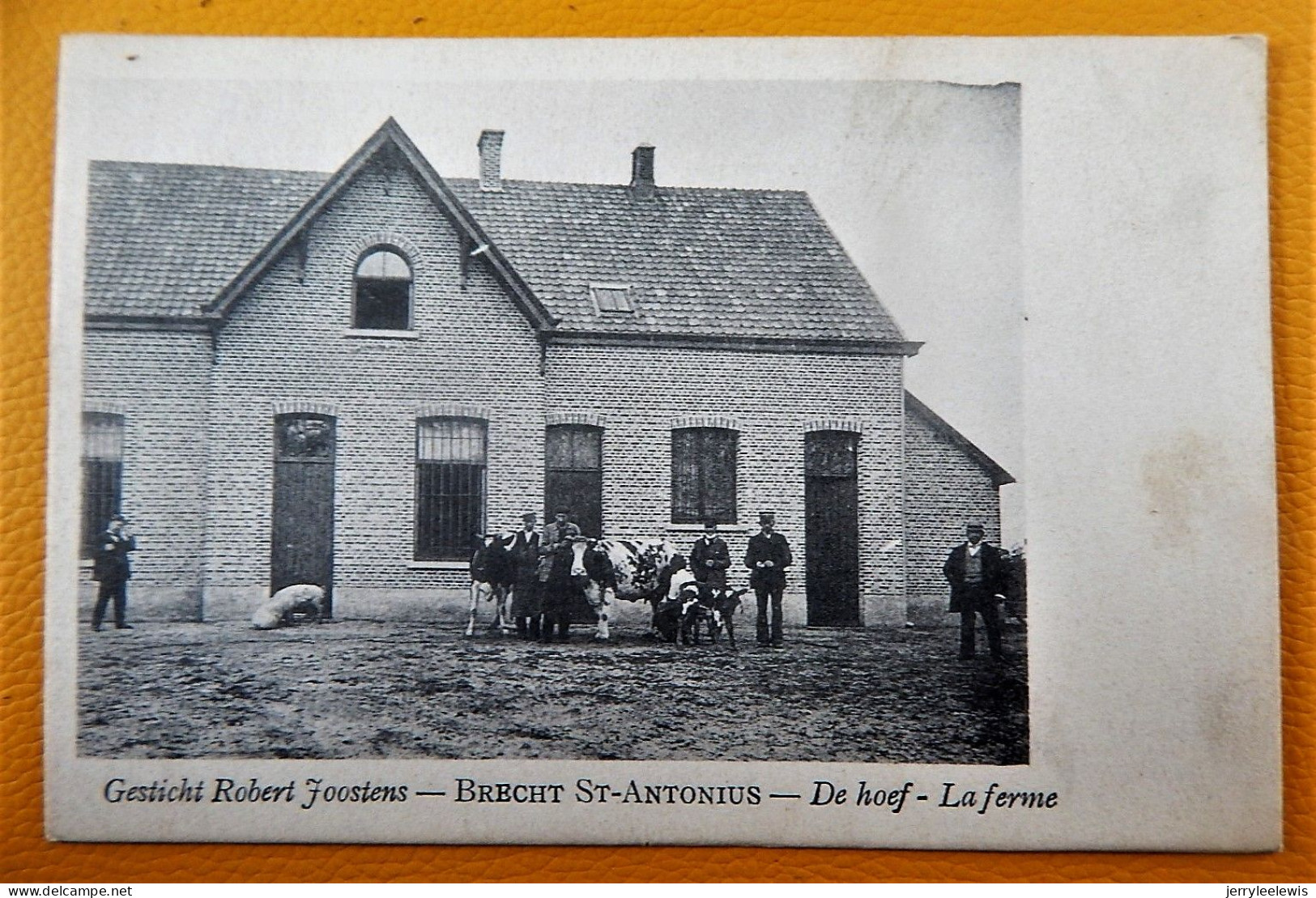 BRECHT St-ANTONIUS - De Hoef - La Ferme - Gesticht Robert Joostens - Brecht