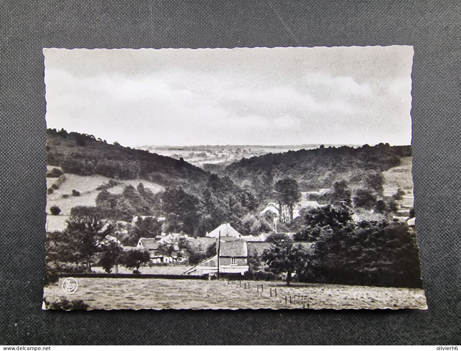 CP BELGIQUE (M2304) BERSILLIES L' ABBAYE (2 Vues) La Vallée De La Thure En Direction De Cousoire - Erquelinnes