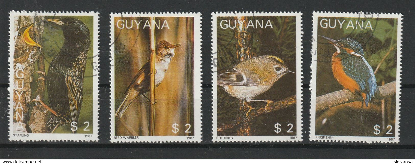 Guyana 1988 - Uccelli Passeriformi- Oiseaux - Birds - Sparrows