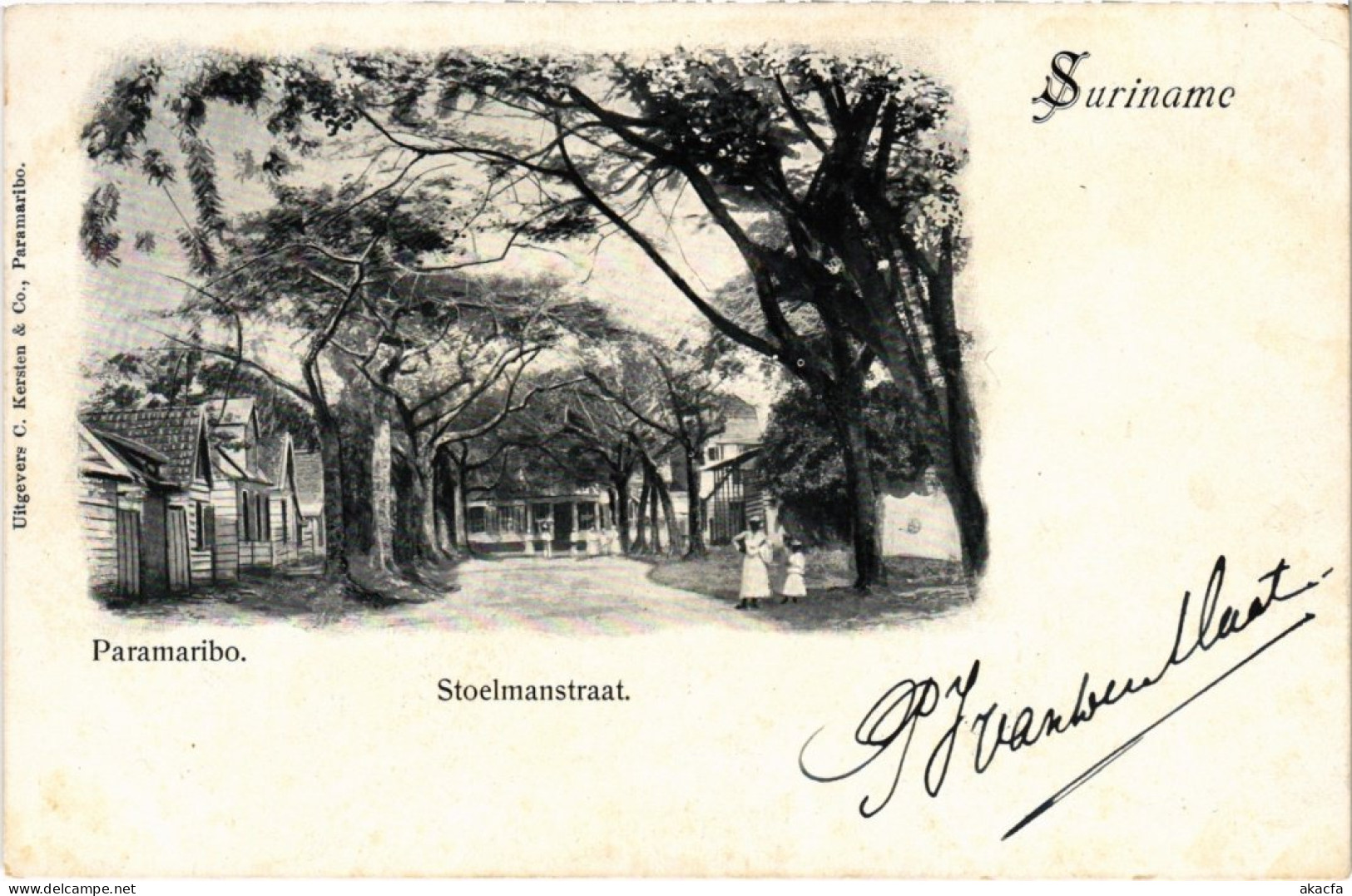 PC PARAMARIBO STOELMANSTRAAT SURINAME (a2954) - Surinam