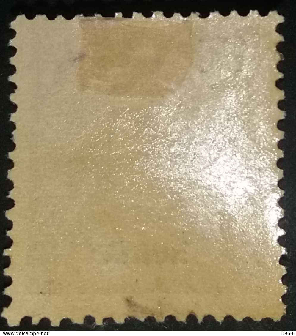 HORTA - AÇORES - 1897 - D.CARLOS I - CE23 - Horta