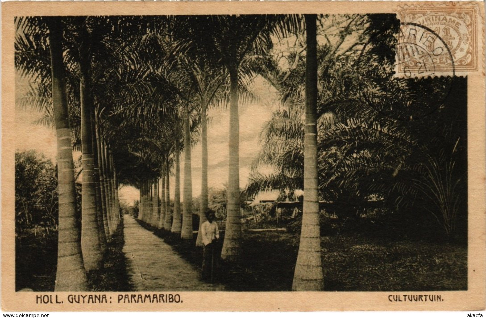 PC SURINAME PARAMARIBO - CULTUURTUIN (a2631) - Surinam