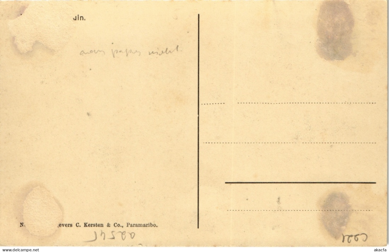 PC SURINAME - IN DE PALMENTUIN (a2545) - Surinam