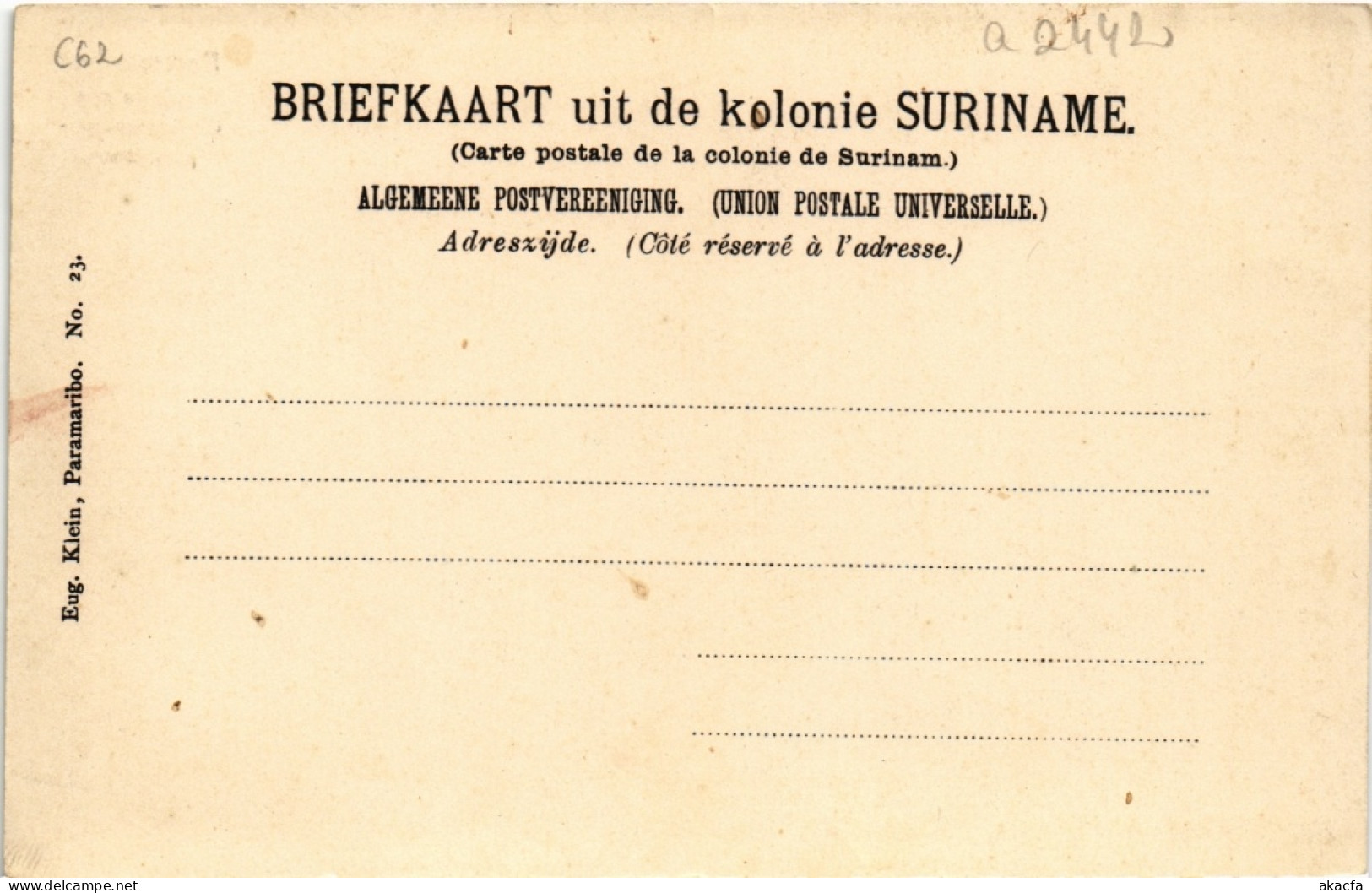 PC SURINAME PARAMARIBO - KYKJE IN DEN GOUVERNEMENTS-PALMENTUIN (a2442) - Surinam