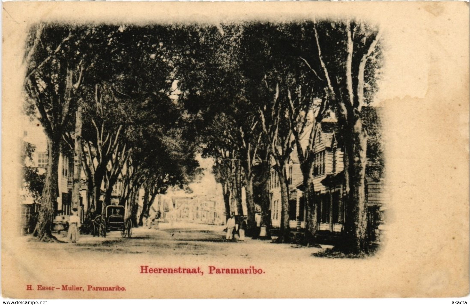 PC SURINAME PARAMARIBO - HEERENSTRAAT (a2428) - Surinam